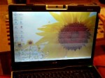 Acer Aspire 9300 Monitor Problem