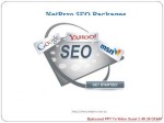 NETPRRO Sydney SEO Packages Pricing