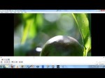 VLC Basics & Screen Recording in VLC (General Nerdery Episode 5)