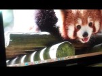 Fixing HDMI Problem blurry and out of focus Monitor